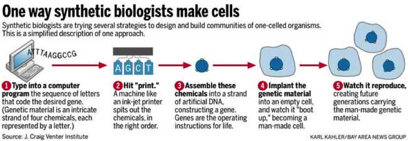 syntheticbiology