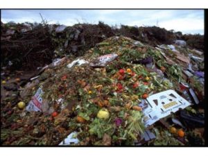 Image of food waste